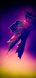 You can also upload and share your favorite beautiful girls 4k hd wallpapers. Iphone Attractive Hd Wallpapers For Mobile