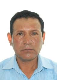 Ingresos de Otorongos Elecciones 2022