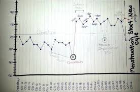 How To Chart Basal Body Temperature Basal Body Temperature