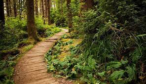 Wake up in funky yurts or creekside cabins. 10 Best Campgrounds In California Gore Tex Brand