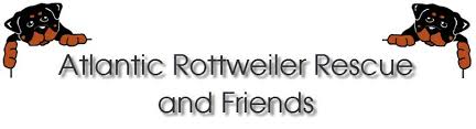 How does rottweiler hearts rescue get their money? Pets For Adoption At Atlantic Rottweiler Rescue And Friends In Mooresville Nc Petfinder