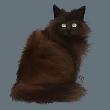Maybe you would like to learn more about one of these? Image Brown Fluffy Cats Fluffy Cat Brown Cat Cats