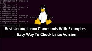 Find out linux kernel version we will use uname command, which is used to print your linux system information such as kernel version and release name, network hostname, machine hardware name, processor architecture, hardware platform and the operating system. Best Uname Linux Commands With Examples Check Linux Version