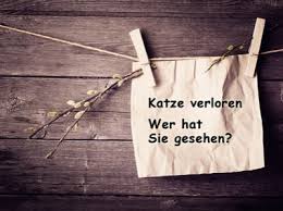 Verteilen sie ihre suchplakate auch bei tierärzten, tierheimen und in fachgeschäften für den heimtierbedarf in ihrer nähe. Wo Durfen Suchplakate Fur Verschwundene Tiere Angebracht Werden
