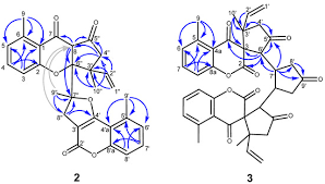 Image result for Ethulia vernonioides