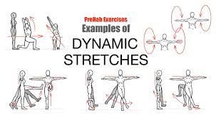 The Art Of Stretching Prehab Exercises Dynamic Stretching Exercise Mobility Exercises