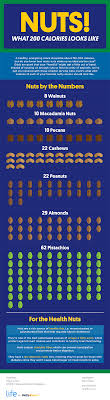 this is what 200 calories of nuts looks like infographic