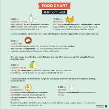 Give Food Chart For A 5 To 12 Month Baby