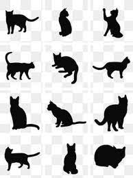 Gato De Bruxa Gato De Bruxa Preto Cartoon Imagem Png E Psd Para Download Gratuito Cartoon Silhouette Cat Vector Animal Clipart
