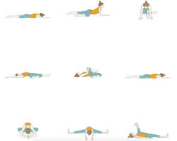 Intermediate Yoga Meridian Yoga 5 Elements Of Yoga In 2020 Yoga Sequences Yin Yoga Yin Yoga Sequence