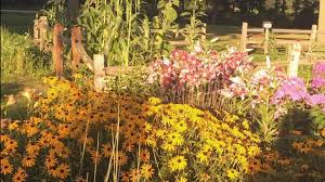 On a device or on the web, viewers can watch and discover millions of personalized short videos. Cottage Garden With Colorful Flowers Hd Cottagecore Wallpapers Hd Wallpapers Id 58532