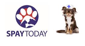 Lakewood – SpayToday Shot Spot Clinics