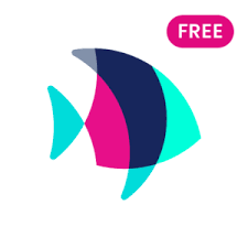 Pof Mod Apk Premium No Ads Download Latest Version 2020 Mod App Mod Free Dating Sites
