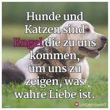 Die 92 Besten Bilder Von Sprüche Für Tierfreunde In 2019 Tierliebe