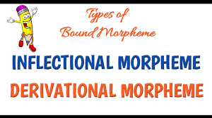 We did not find results for: Types Of Bound Morpheme Inflectional And Derivational Morpheme Morphemeanditstypes Youtube