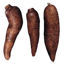 Opplysningskontoret for frukt og grønt © 2021. Kassava Store Norske Leksikon