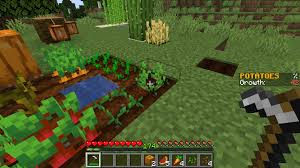 In our example, we have. Cropchecker Check Crop Growth Progress Honey Levels Spigotmc High Performance Minecraft