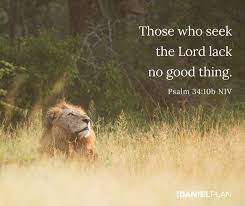 He Promises Those Who Seek The Lord Lack No Good Thing Psalm 34 10 Treat God S Provision As An Adventure Lay Your Need Bible Love Psalm 34 Seek The Lord
