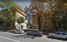 PrimÄƒria Timisoara IncaseazÄƒ DouÄƒ Noi Amenzi Serioase De La Garda De Mediu Cazul Copacul S A LÄƒsat Cu SancÅ£iuni De 50 000 De Lei