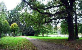 Sie haben alle informationen, kontaktdaten und öffnungszeiten zu botanischer garten in krefeld problemlos auf ortsdienst.de gefunden? Schonwasserpark In Oppum Objektansicht