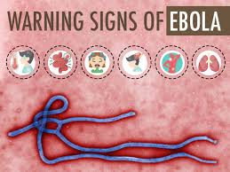 Symptoms may appear anywhere from 2 to 21 days after contact with the virus, with an average of 8 to 10 days. 15 Warning Signs And Symptoms Of Ebola Virus Disease Boldsky Com