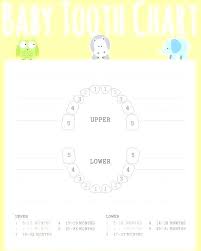 the best baby teeth chart printable suzannes blog