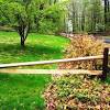 Pinmydreambackyard split rail fence just a couple. Https Encrypted Tbn0 Gstatic Com Images Q Tbn And9gcsf58y2czn4zakdcveccdq7sxbegupowlxjrieeq 0l 79zfq U Usqp Cau