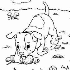 Dogs love to chew on bones, run and fetch balls, and find more time to play! Puppies And Dog Coloring Pages 300 300 Colorear Imagenes