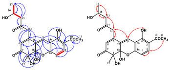 Image result for Monothecium
