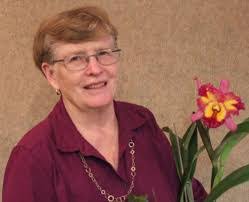 Greg Averill's Instagram, Twitter & Facebook