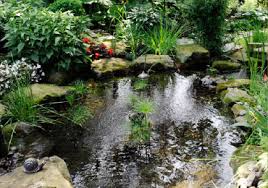Salon de jardin leroy merlin. Bassin D Eau Jardinerie Du Carrefour