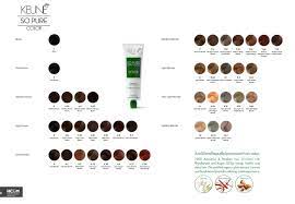 Keune So Pure Color Shade Palette 2015 Hair Color Chart Pure Products Pure Color