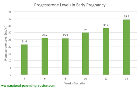 exhaustive estrogen during early pregnancy progesterone