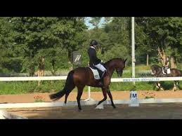 November 2019 um 13:39 uhr. 12 07 2020 Babenhausen Dressurpferdeprufung Kl A 1 Lisa Muller Gut Wettlkam S Elsa Youtube