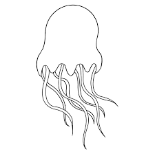 The lines should be close together and end in a sharp point. How To Draw A Jellyfish Really Easy Drawing Tutorial