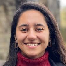 West Devon local election: The 4 candidates in Bere Ferrers