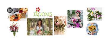 Maybe you would like to learn more about one of these? Heb Blooms Home Facebook