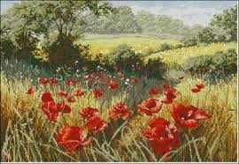 Stitch a flander's poppy to commemorate anzac day. Cross Stitch Pattern Poppy Field Free Cross Stitch Patterns
