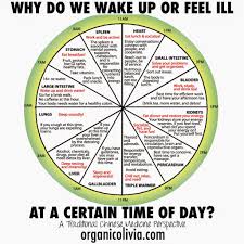 Tcm Body Clock Why Do We Wake Up Or Feel Ill At A Certain