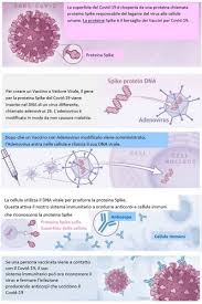 Il vaccino johnson & johnson ha tutte le caratteristiche di efficacia, sicurezza e maneggiabilità da costituire un'arma in più per uscire quanto prima dall'emergenza sanitaria. Speciale Medicina Ecco Il Vaccino Johnson Johnson Sportlegnano It