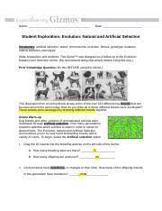 Keystone ground beef is a handy substitute versus cooking ground beef from raw when you're short on time. Copy Of Evolution Natural Artificial Student Exploration Docx Name Date Student Exploration Evolution Natural And Artificial Selection Vocabulary Course Hero