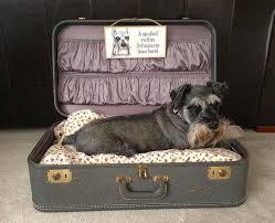 19 diy dog beds your pooch will want to lounge in all day long. 5 Easy Inexpensive Diy Dog Beds