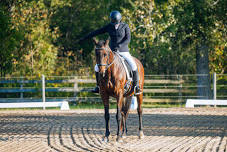 Aberdeen Farm Dressage Show III