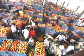 Việc đóng cửa các chợ truyền thống, chợ đầu mối không ảnh hưởng đến chuỗi cung ứng của chúng tôi, bà nhấn mạnh. Chá»£ Ä'áº§u Má»'i Doanh Nghiá»‡p Doanh Nhan
