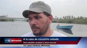 Wuopo es un sitio de contactos gratis, moderado y podrás darte de baja cuando quieras. Lazaro Cardenas Mich A La Caza De Cocodrilo Cebado Pero Tambien Analizan A Otros Saurios Youtube