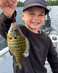 They sure are some pretty fish