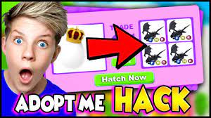 Players can also buy some specific types of pets using robux or event currencies. Hack To Hatch Shadow Dragon In Adopt Me Can We Get These Adopt Me Tiktok Hacks To Work Prezley Youtube