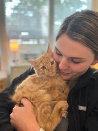 Free Home Animal Hospital