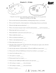 Now updated, there is now an optional word bank for the photosynthesis worksheet. Stock Photos Free Photosynthesis Quiz With Answers