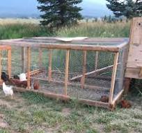Nuestro gallinero y corral construidos con madera rescatada ...